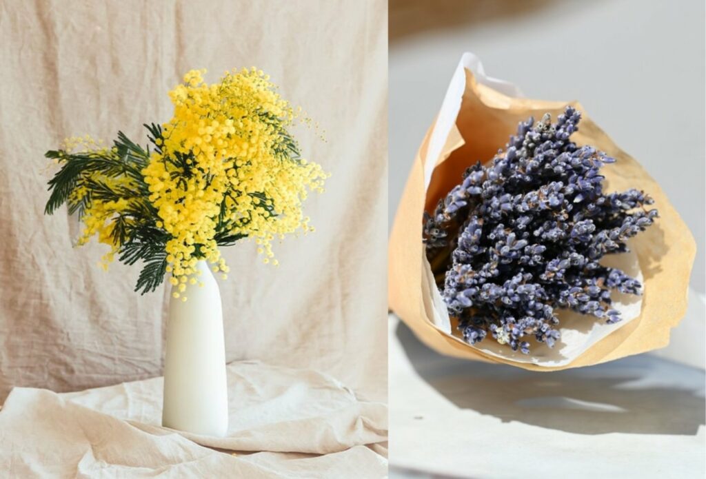 bouquet de mimosa dans un vase et bouquet de lavande séchée